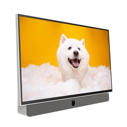 Metz LED 24MPE7000Z 24" Full HD Smart TV Google TV
