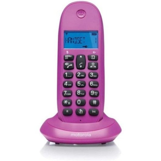 Telefono cordless Gigaset A170 Viola schermo LCD vivavoce agenda 40 contatti