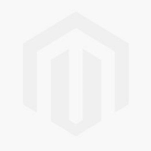 Aspirador Lava e Aspira Polti WD10 750W Filtro HEPA 0,8L Depósito Sólidos e Líquidos