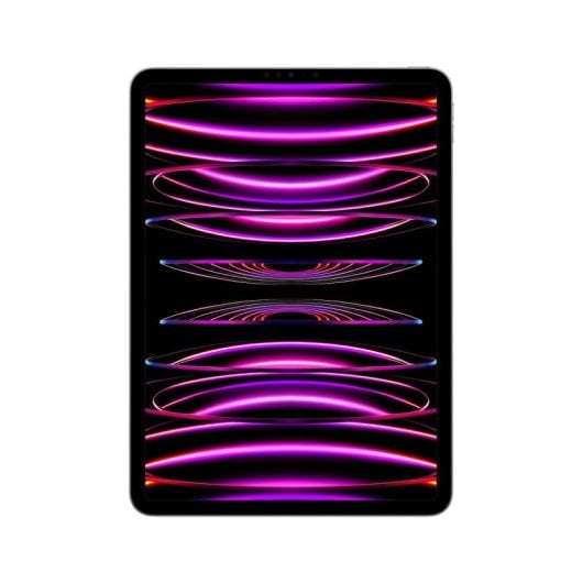 Apple iPad Pro 11" 2TB Wifi 16GB iPadOS 16 Gris