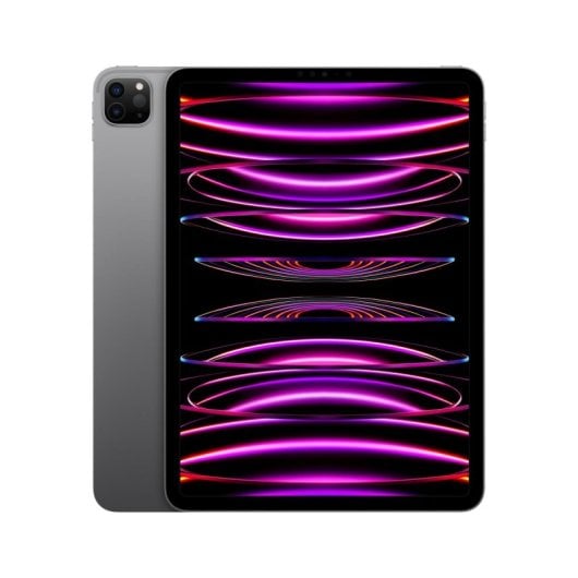 Apple iPad Pro 11" 2TB Wifi 16GB iPadOS 16 Gris