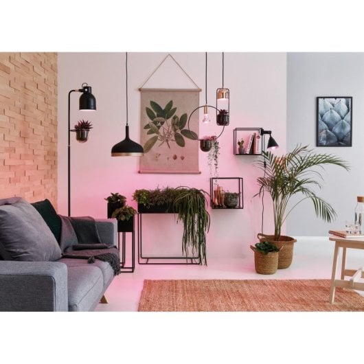 Ampoule LED Paulmann 287.34 4W E14 100 lm 15000h 1300K 64° Non dimmable