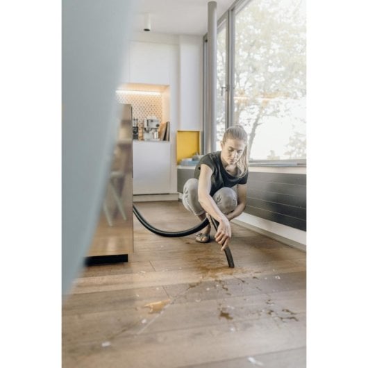 Aspiradora de tambor Kärcher WD 3 S 1000 W Seca y húmeda 15 L Acero inox