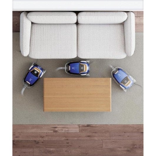 Aspirateur avec Sac Electrolux EUOC94DB 850W Filtre EPA 5L Noir