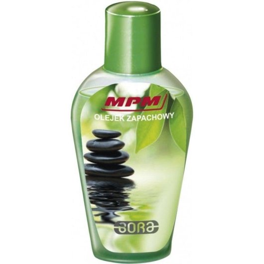 Aspirapolvere Bidoni Aspiratutto MPM MOD-30 2400W Secco e Umido Filtro HEPA 2L