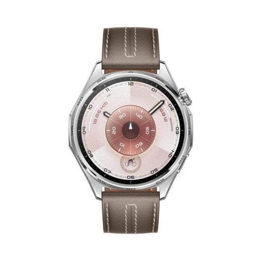 Huawei Watch GT6 Bluetooth GPS NFC 46mm AMOLED Edelstahl Braun M SpO2 Schlaftracking