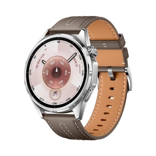 Huawei Watch GT6 Bluetooth GPS NFC 46mm AMOLED Edelstahl Braun M SpO2 Schlaftracking