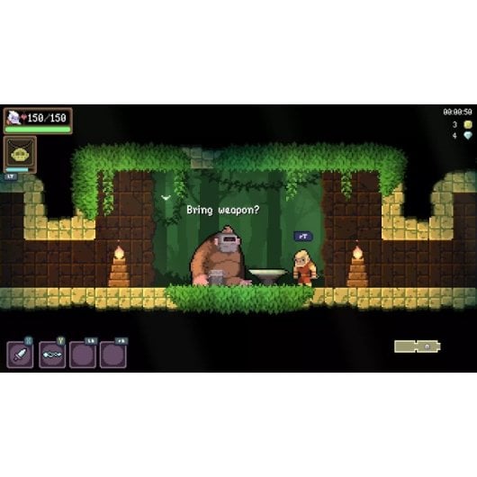 Dunjungle Premium Edition SWITCH