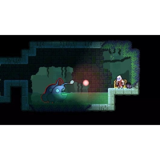 Dunjungle Premium Edition SWITCH