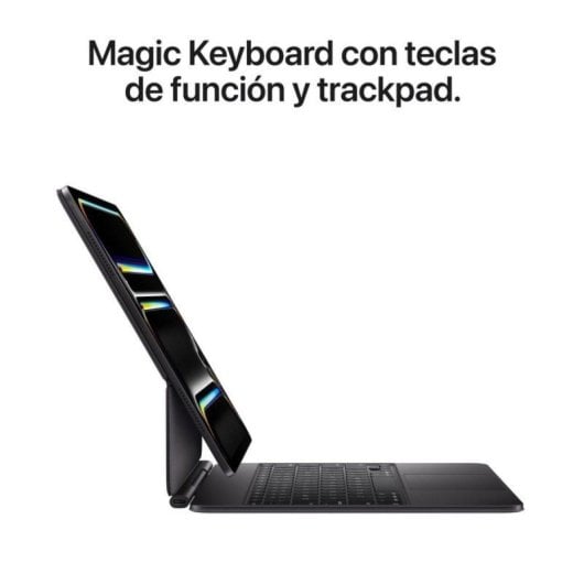Apple iPad Pro 11" WiFi 256GB Chip M5 con Vidrio Estándar Ultra Retina XDR Negro Espacial