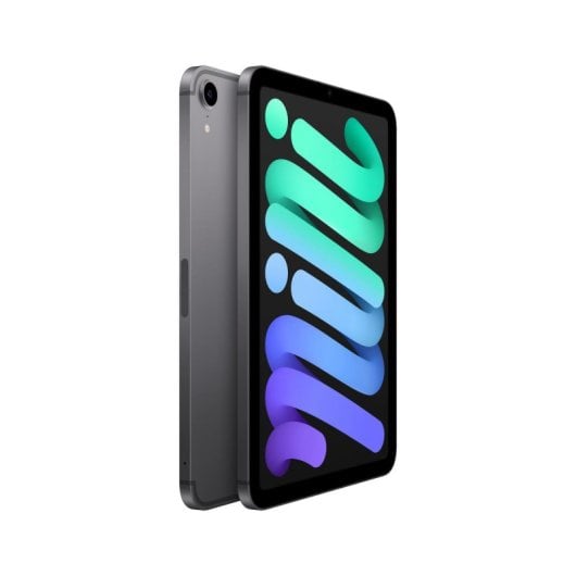 Apple iPad mini 8,3" 256GB 5G iPadOS 15 Gris Sidéral