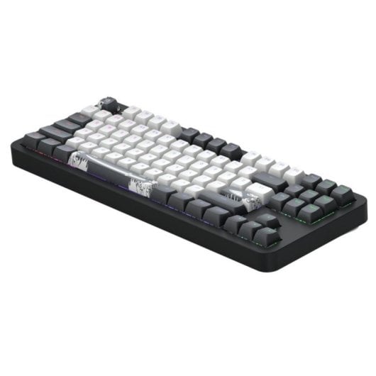 Teclado mecánico Dark Project Bushido G3MS Layout EN RGB Aluminio inalámbrico