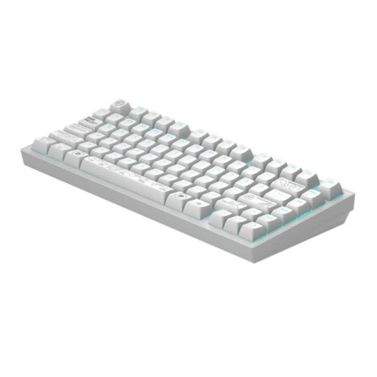 Teclado mecânico Dark Project Terra Nova Layout ANSI RGB branco compacto