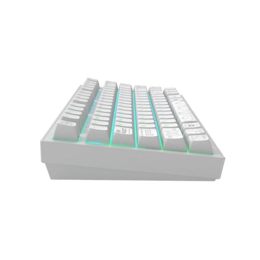 Teclado mecânico Dark Project Terra Nova Layout ANSI RGB branco compacto
