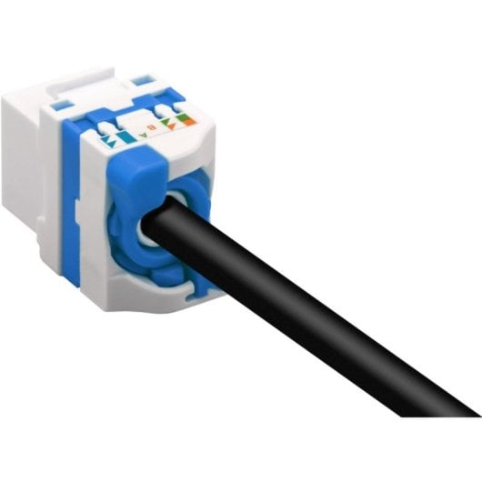 Conector de Red Roline IWP-MD C6A/UROTT UTP Hembra Blanco compacto