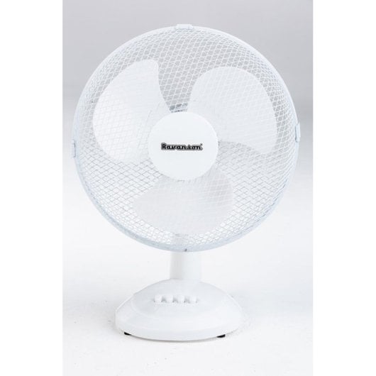 Ravanson WT-1040 Ventilateur à pales, 43 cm, Blanc/Gris, Table