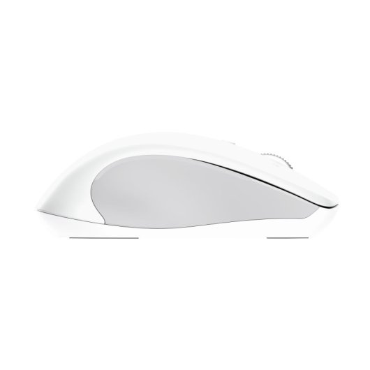 Souris Trust 25674 Bluetooth 3200 DPI Blanc Multidispositif Silencieux