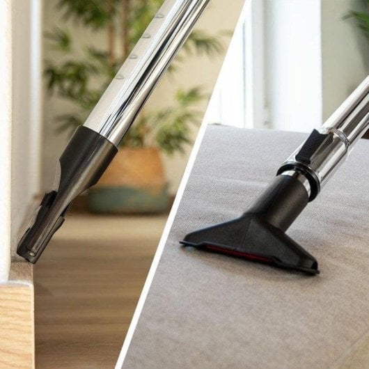 Aspirateur traîneau Cecotec Conga Rockstar Cyclonic Plus 800W Filtre HEPA