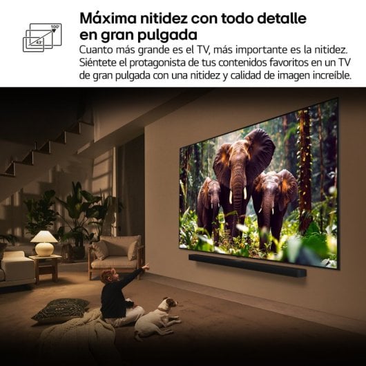 TV LG QNED QNED8E 55" 4K Smart TV HDR10 Pro IA Gaming