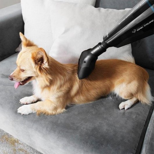 Aspirador de mano Cecotec Conga Immortal 22.2V 150W Sin cable Filtro alta eficiencia Autonomía 25 min