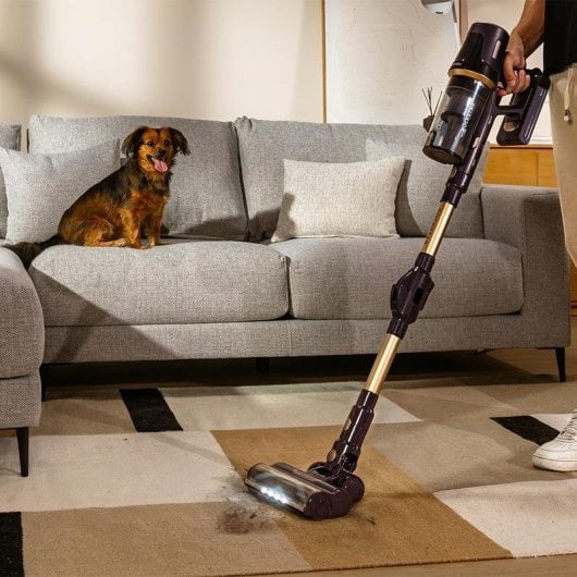 Aspirateur sans fil Cecotec Conga Rockstar RS70 Pet Flex X-Treme 500W 150AW Autonomie élevée LED
