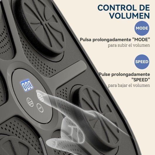 Sportnow Boxeo Pared Musical Con 9 Modos De Velocidad Guantes Y Bluetooth