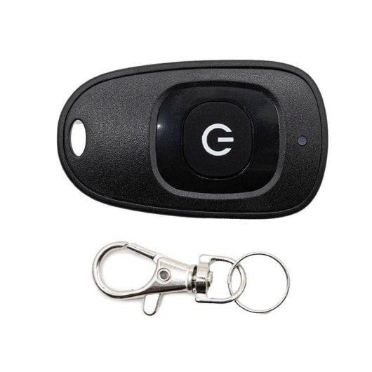 Limitador de Velocidad eWheel SmartGyro Speedway Rockway con mando activación