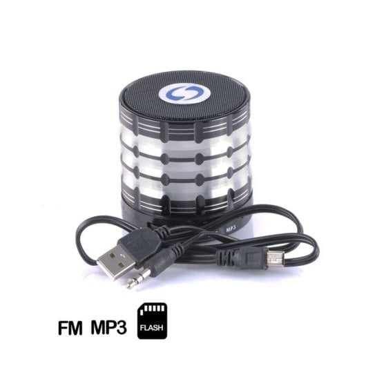 Altoparlanti Dam Electronics Multimediale Bluetooth Ingresso Aux USB MicroSD Batteria 2h