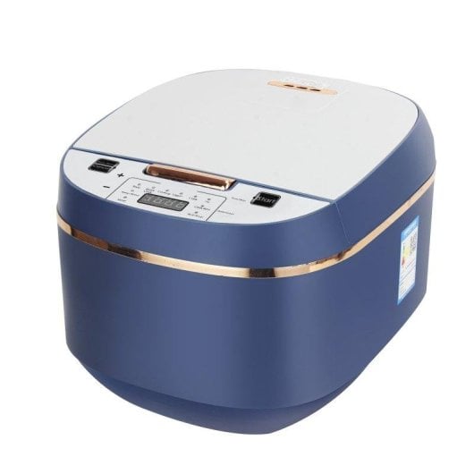 Arrociera elettrica Dam Electronics 5L 900W con riscaldamento tridimensionale e programmi