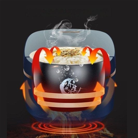 Cuiseur à Riz Électrique Dam Electronics 5L 900W Multifonction avec 8 Programmes