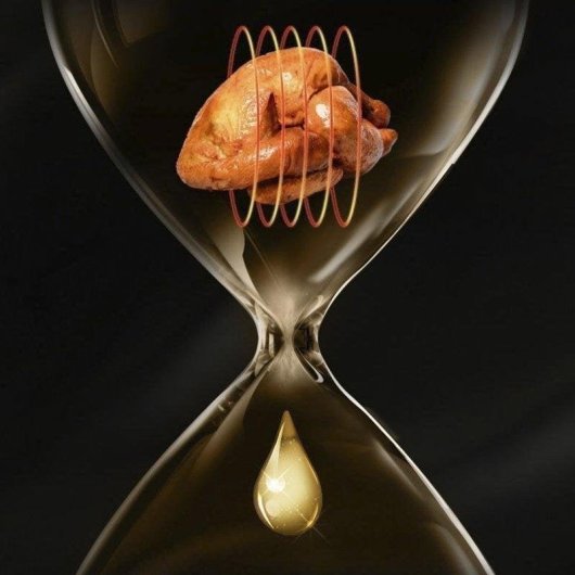 Freidora de aire Dam Electronics 13L 1400W multifunción con bol de cristal y temporizador