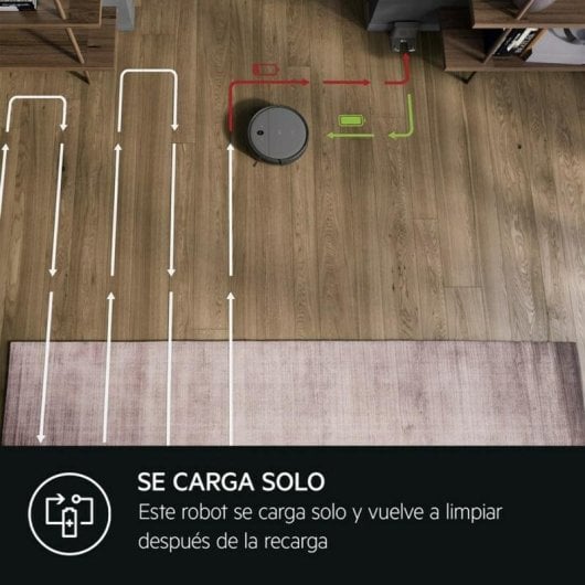 Robot Aspirador y Fregasuelos AEG AR61UW1DG Navegación Giroscopio y Cámara 2.600 Pa Control por Voz