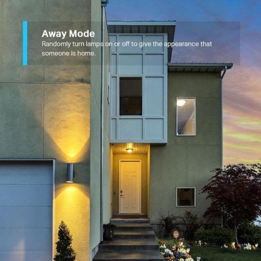 Prise intelligente TP-Link Tapo P100 Wi-Fi Bluetooth Intérieur 2300 W