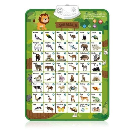Abécédaire électronique interactif avec animaux et poster musical Dam Electronics