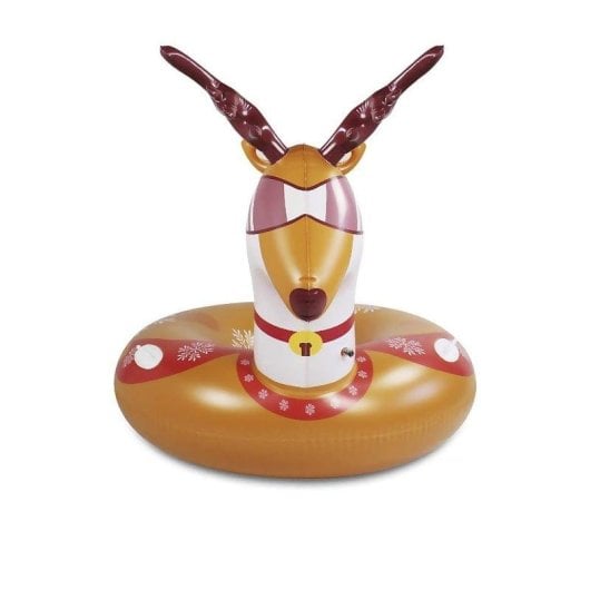 Colchoneta Híbrida Dam Electronics Forme Renne 120x68cm avec Poignées pour Neige et Eau