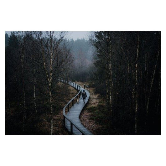 Objectif Sigma 50mm F1.4 DG DN Art Monture L Autofocus Compact