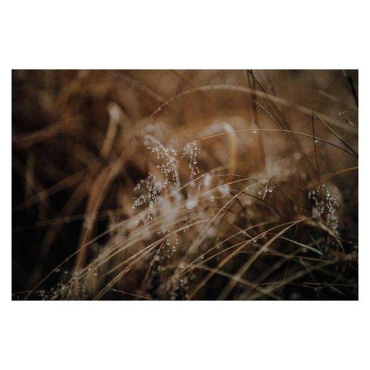 Objectif Sigma 50mm F1.4 DG DN Art Monture L Autofocus Compact