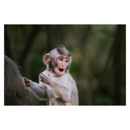 Obiettivo Fujifilm XF500mm f/5.6 R LM OIS WR Stabilizzato Montatura X