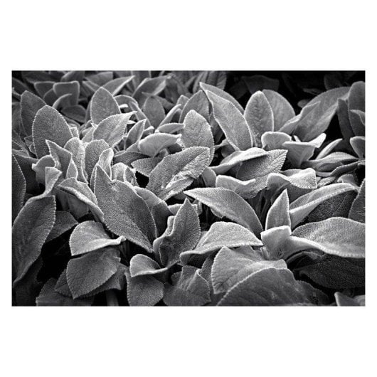 Objectif Nikon NIKKOR Z 28mm f/2.8 SE Monture Z Autofocus Compact