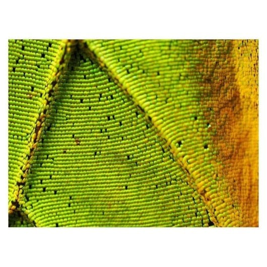 Obiettivo OM SYSTEM M.Zuiko Digital ED 90mm F3.5 IS PRO Stabilizzato Montatura Micro 4/3