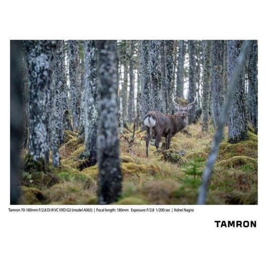 Obiettivo Tamron 70-180mm F2.8 Di III VC VXD G2 Stabilizzato Montatura Sony E