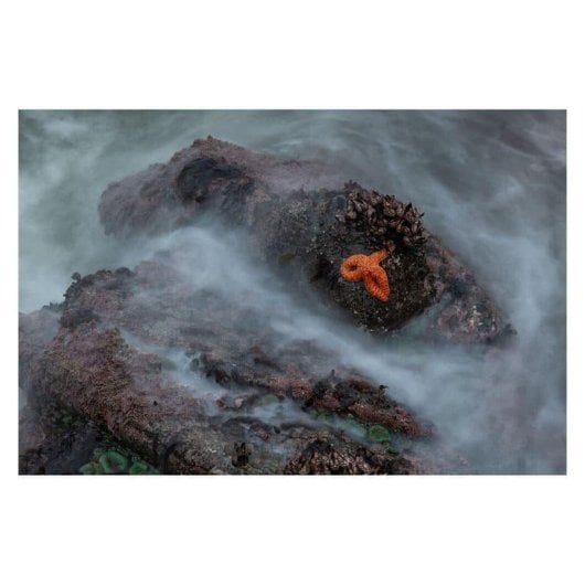 Obiettivo Sigma Art 28-105 mm F2.8 DG DN Montura L Paraluce Incluso