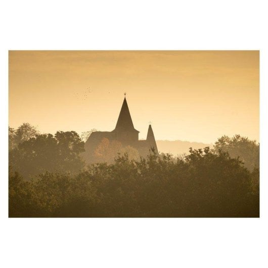 Obiettivo Sigma 60-600mm F4.5-6.3 DG DN OS Stabilizzato Montura L