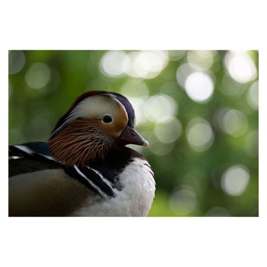 Tamron Objectif 50-400mm F/4.5-6.3 Di Iii Vc Vxd compatibile con Nikon Z