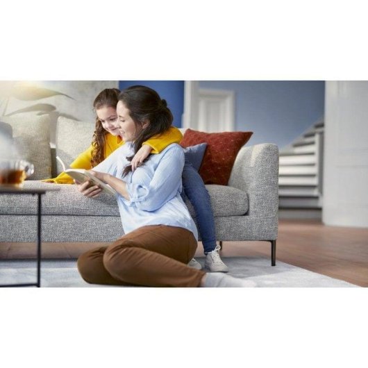 Aspirateur sans Sac Philips PowerPro Expert FC9741/09 900W HEPA 13 2L Noir