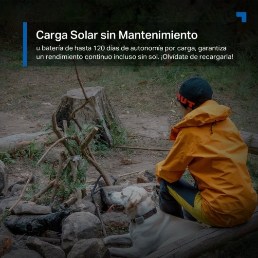 Tapo C615G Kit - Cámara de Vigilancia 4G 360º con Panel Solar, Resolución 2K, Detección IA Gratuita