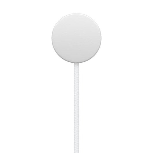 Chargeur magnétique rapide Apple MT0H3ZM/A USB-C 1 m Blanc pour Apple Watch