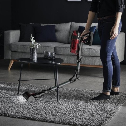 Akku Staubsauger Rowenta RH98A8 320W 45 Minuten HEPA-Filter Tierhaare 0,9L