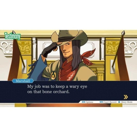 Phoenix Wright Ace Attorney Trilogy SWITCH (Code in a Box)