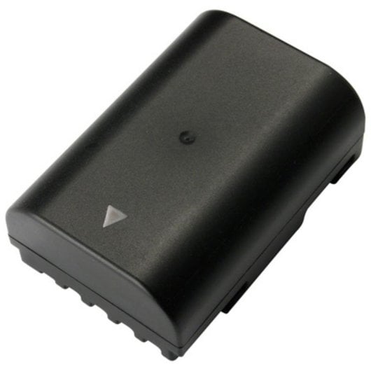 Batterie pour appareil photo Pentax D-LI90 Ions lithium compacte noire